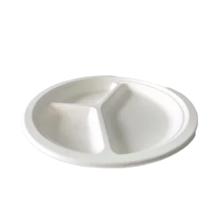 Assiettes en bagasse