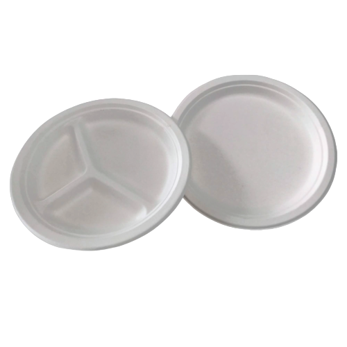 Assiettes en bagasse