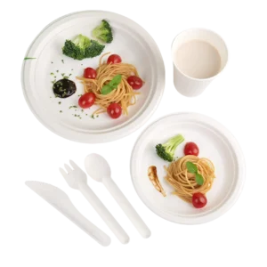 Set de couverts en bagasse