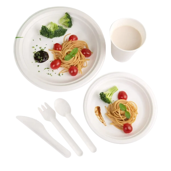 Set de couverts en bagasse