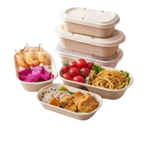 Lunch box en bagasse