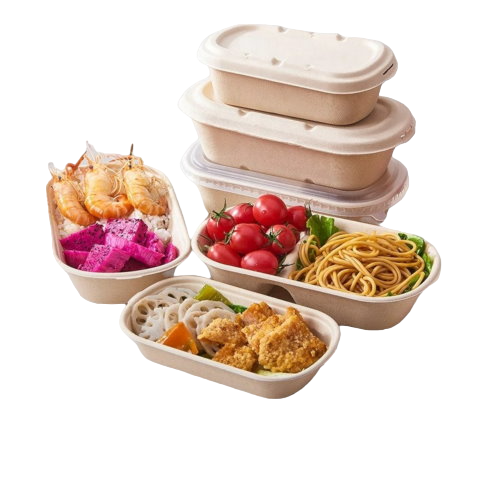 Lunch box en bagasse