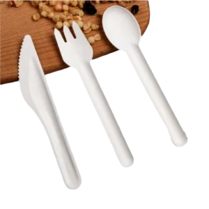 Set de couverts en bagasse