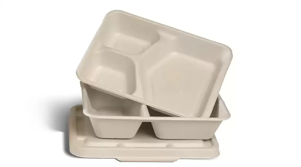 La bagasse dans les emballages alimentaires