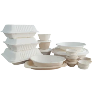 Assiettes bagasse