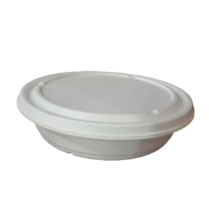 Assiette bagasse